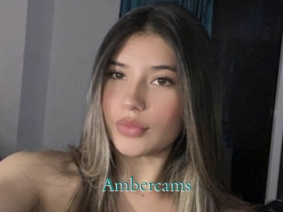 Ambercams