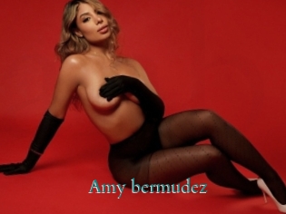 Amy_bermudez