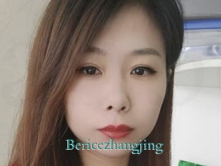 Bericezhangjing