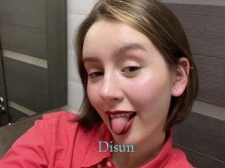 Disun