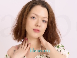 Elenecaris