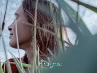 Elvagrise