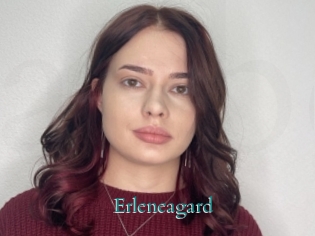 erleneagard Anal Beurette