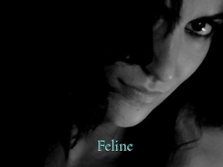 Feline Anal Beurette