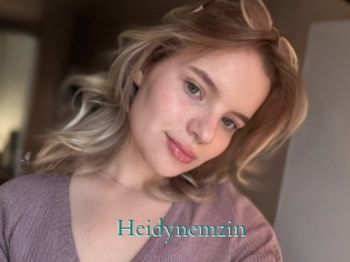 Heidynemzin