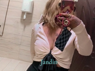 jandin Anal Beurette