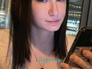 Lilygrows