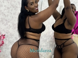 Meridaroa