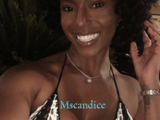 Mscandice