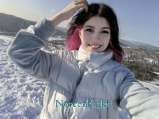 Noreenbarks