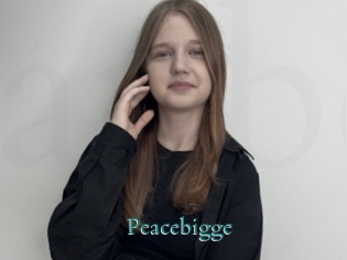 Peacebigge