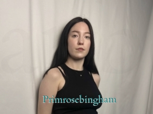 Primrosebingham