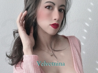 velvetnina Anal Beurette