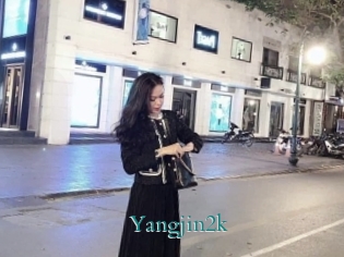Yangjin2k
